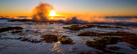 Firey Shorey 1
