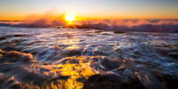 Firey Shorey 2
