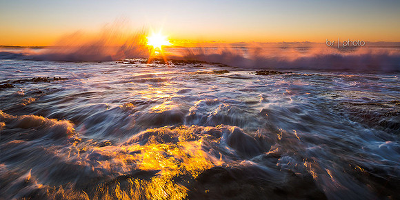 Firey Shorey 2
