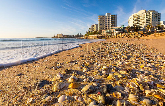North Cronulla 1