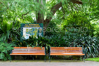 CameliaGardens_1