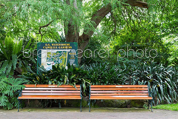 CameliaGardens_1