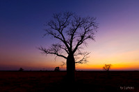 Kimberley Boabs 116