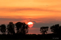 Yellow River Dusk 4